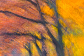 HERBSTTAG 15 von Miroslav Ptacek
