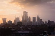 Skyline London (1) van Larissa van Hooren thumbnail