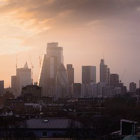 Skyline London (1) van Larissa van Hooren