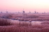 Middeleeuwse molens bij Kinderdijk in Nederland bij zonsondergang von Eye on You Miniaturansicht
