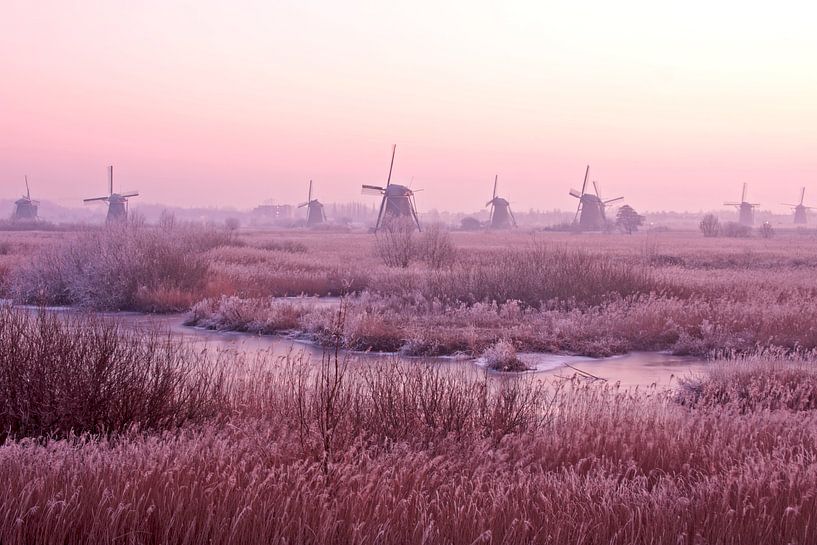Middeleeuwse molens bij Kinderdijk in Nederland bij zonsondergang von Eye on You