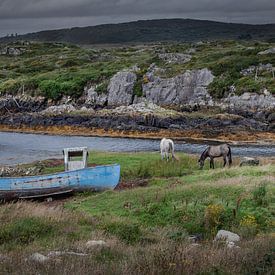 Horses and shipwreck in desolate landscape Ireland by Albert Brunsting