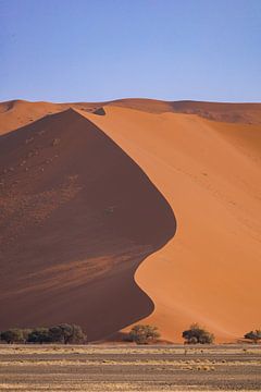 Namibië: een land van uitersten en adembenemende schoonheid. van Patrick Fotografeert