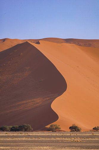 Namibia: a land of extremes and breathtaking beauty.