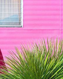 Vintage Pink Camper Trailer with Cactus by Tom Windeknecht