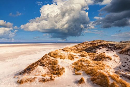 View to the sea by AD DESIGN Photo & PhotoArt