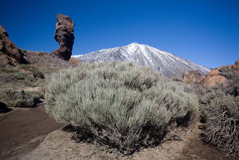 El Teide and the Finger of God by Angelika Stern