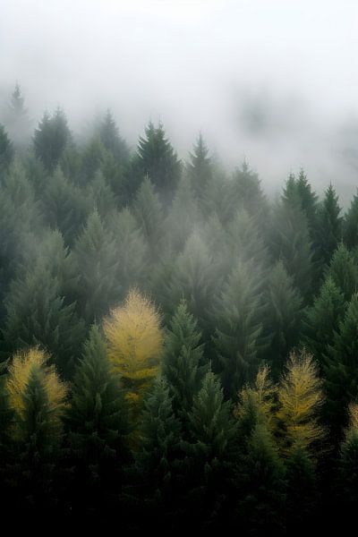 Forest in the mist by Artsy