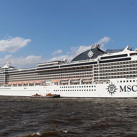 MSC Magnifica van Matthias Brix