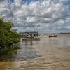 Boten op de Suriname rivier  van Patricia Hofmeester