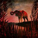 Règne animal –  L'éléphant buvant par Jan Keteleer Aperçu