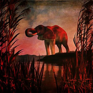 Règne animal –  L'éléphant buvant sur Jan Keteleer
