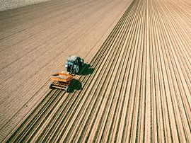 Traktor beim Pflanzen von Pflanzkartoffeln auf einem Feld im Frühling von Sjoerd van der Wal Fotografie
