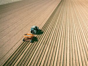 Traktor beim Pflanzen von Pflanzkartoffeln auf einem Feld im Frühling