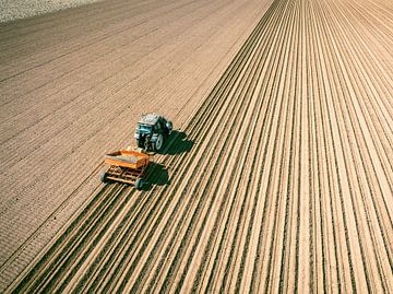 Tracteur plantant des pommes de terre de semence dans un champ au printemps. sur Sjoerd van der Wal Photographie