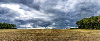 Panorama net geoogst akkerland in Drenthe onder een zwaarbewolkte zomerse hemel