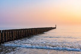 De zittende vogel op de Domburger stormbrekers tijdens zonsondergang. van Dave Zuuring