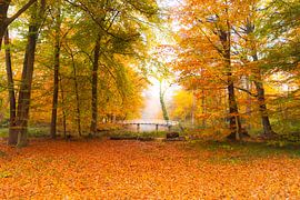Autumn 2025 by Chandu Srirangam