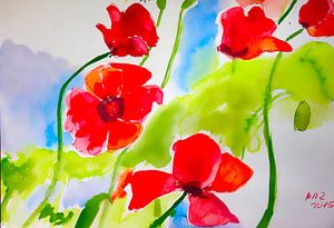 Mohnblumen