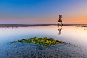 De Engelsmanplaat, Waddenzee