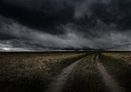 empty landscape with heavy cloudy sky par Henk Speksnijder Aperçu