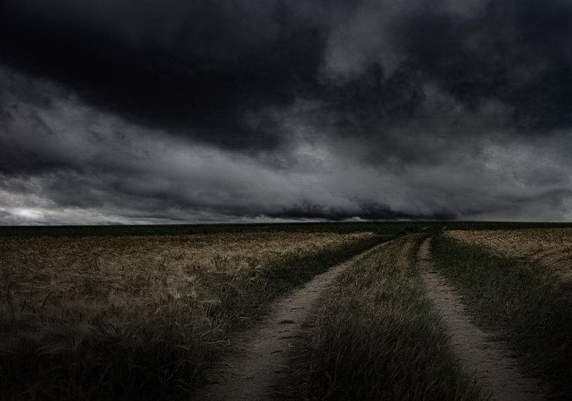 empty landscape with heavy cloudy sky von Henk Speksnijder