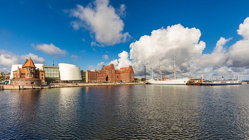 Ozeaneum, Gorch Fock 1 und MS Princess im Hafen von Stralsund von Werner Dieterich
