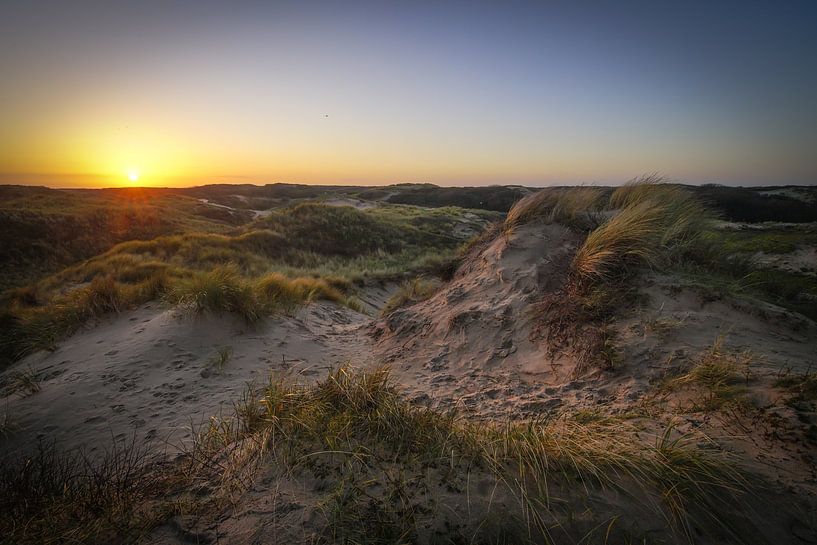 Coepelduyn dune area between Katwijk and Noordwijk by Dirk van Egmond
