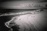 Zigzagging on the beach