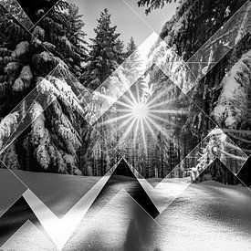 Zonnestralen schijnen door de bomen in de Taunus - monochroom van berbaden photography