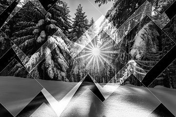 Zonnestralen schijnen door de bomen in de Taunus - monochroom van berbaden photography