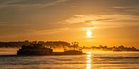 Panorama: Ein Schiff auf dem Fluss Waal mit aufgehenden Sonne von John Verbruggen Miniaturansicht