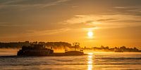 Panorama: Ship on the River Waal with rising sun