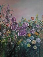 Iris Garden in Spring