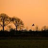 Roofvogel tijdens zonsondergang van Ellen Metz