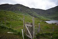 Holzzaun