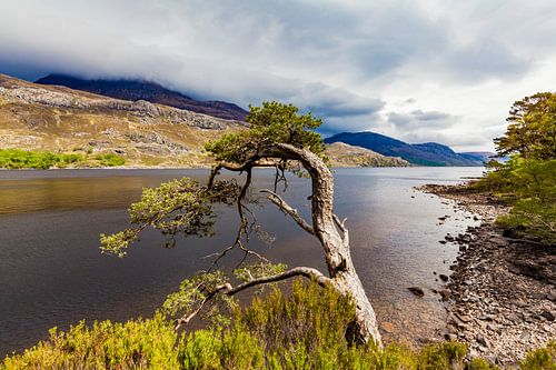 Loch Maree in the Highlands of Scotland by Werner Dieterich
