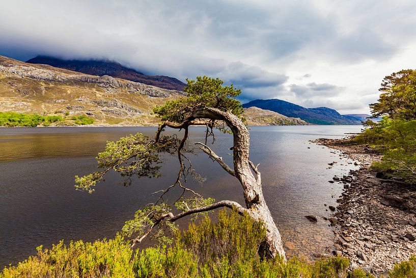 Loch Maree in den Highlands von Schottland von Werner Dieterich