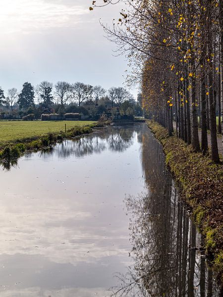 Joostenlaan zwei von Mr White Takes Pictures