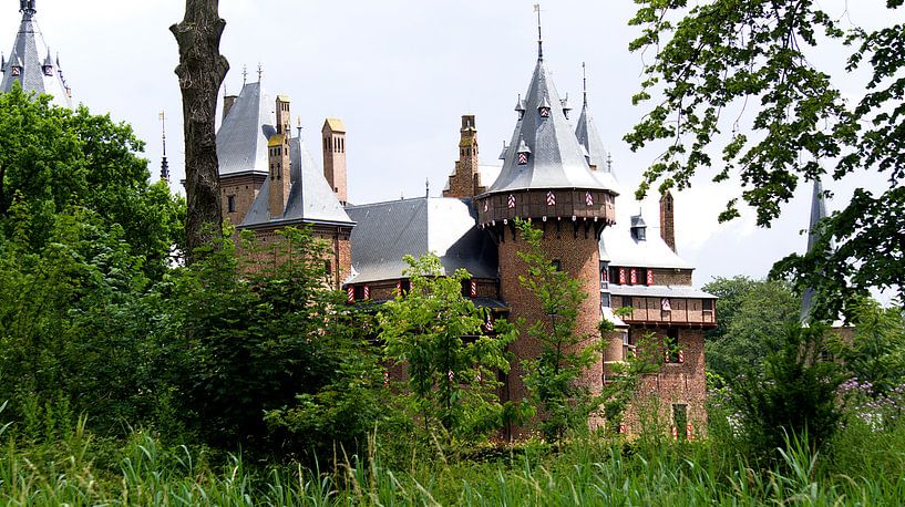 Schloss das Haar in den Büschen von joyce kool