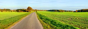 Herbstliches Leuchten