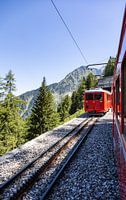 Trein in de Franse bergen Mont Blanc