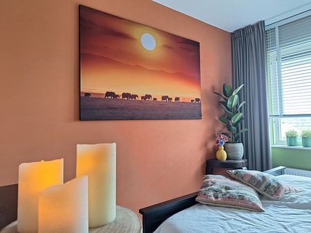 Défilé au lever du soleil