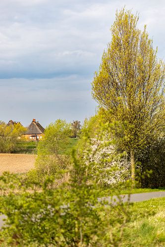 Ambiance printanière au village de Hoben sur Holger Felix