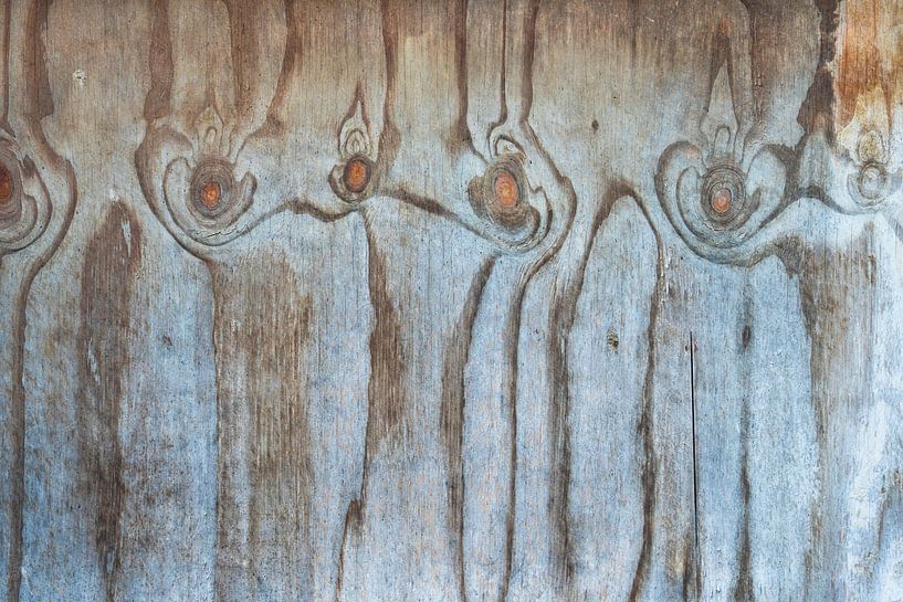 Les Demoiselles by Eric van de Ven