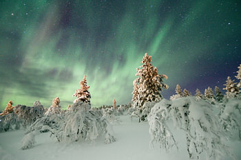 Noorderlicht met sneeuw in Finland
