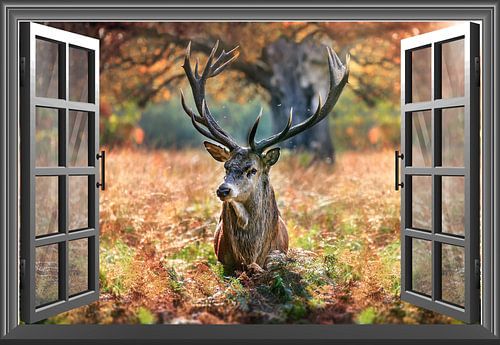 Verschiedene Windows-Versionen