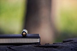 The Weight of Words by Bram de Water