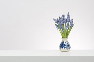 Blauwe druifjes