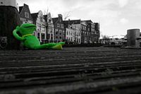 Dock of the bay